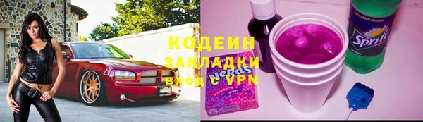 дживик Осинники